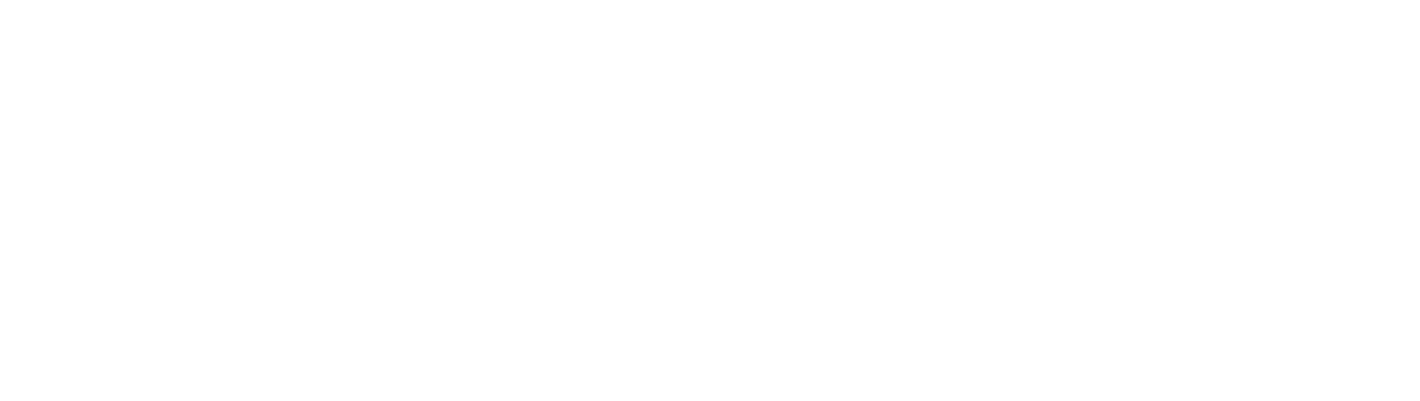 DliteX